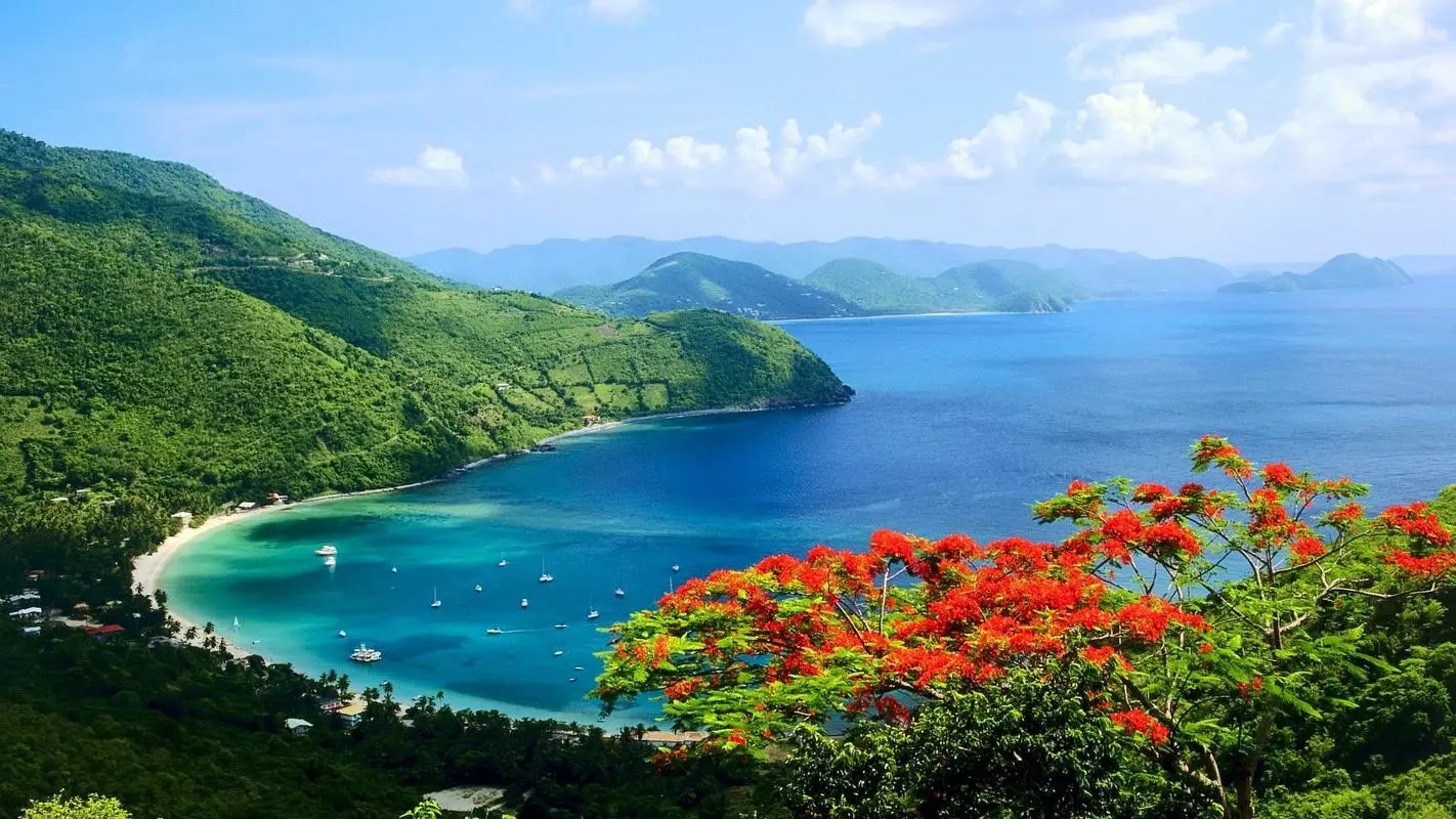 高端智能